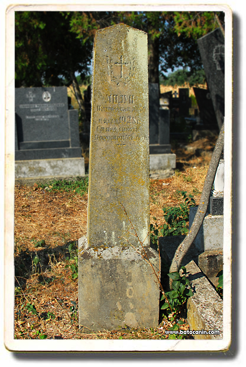 0235 Nadgrobni spomenik Punoševac Miluna na seoskom groblju u Donjem Ribniku
