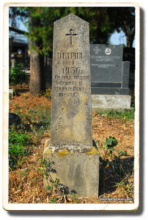 0236 Nadgrobni spomenik Punoševac Petrije na seoskom groblju u Donjem Ribniku