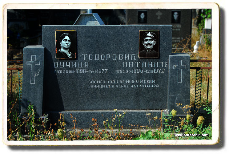 0240 Porodična grobnica Todorović Vučice i Antonija na seoskom groblju u Donjem Ribniku