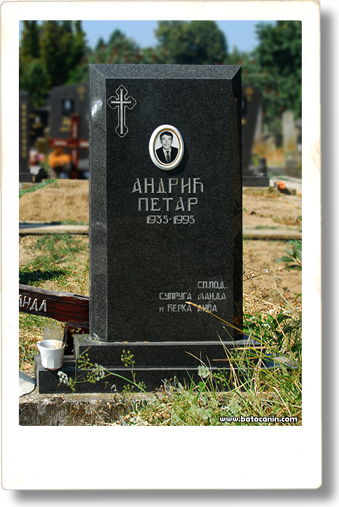 0351 Nadgrobni spomenik Andrić Petra