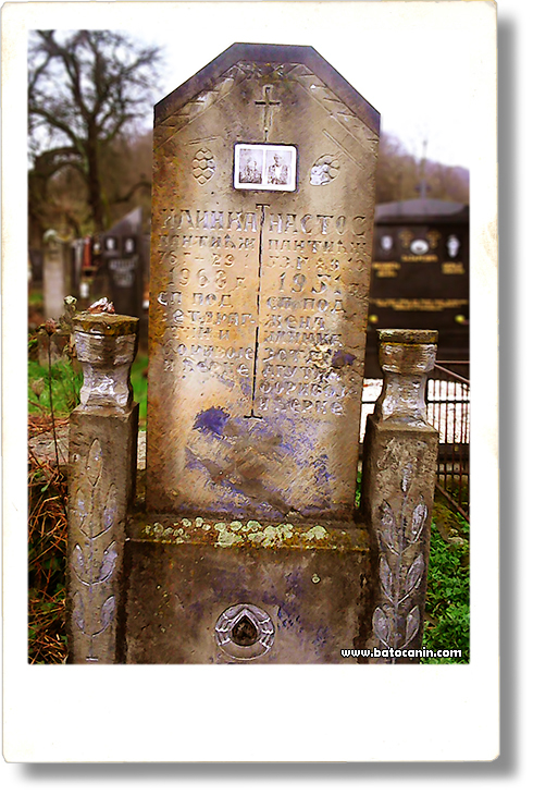 0418 Porodična grobnica Pantić Ilinke i Nastosa na seoskom groblju u Gornjoj Crnišavi