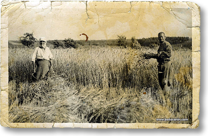Milkana i Bogdan u polju